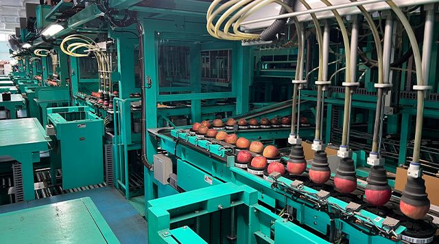 つがる弘前農業協同組合