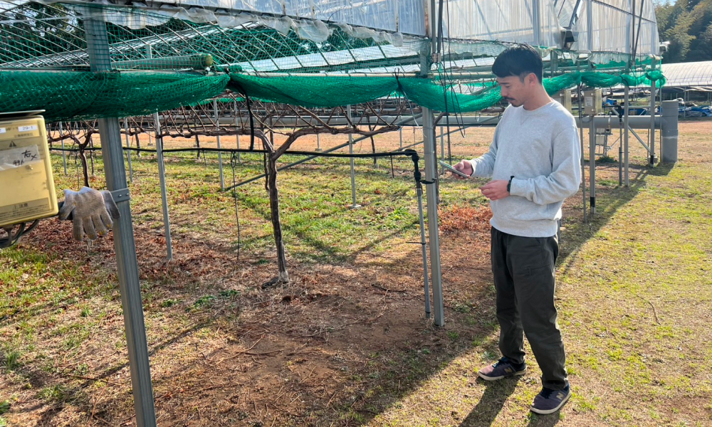 熊本ワインファーム