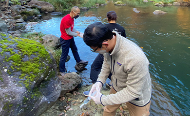 東北大学 大学院生命科学研究科 近藤研究室