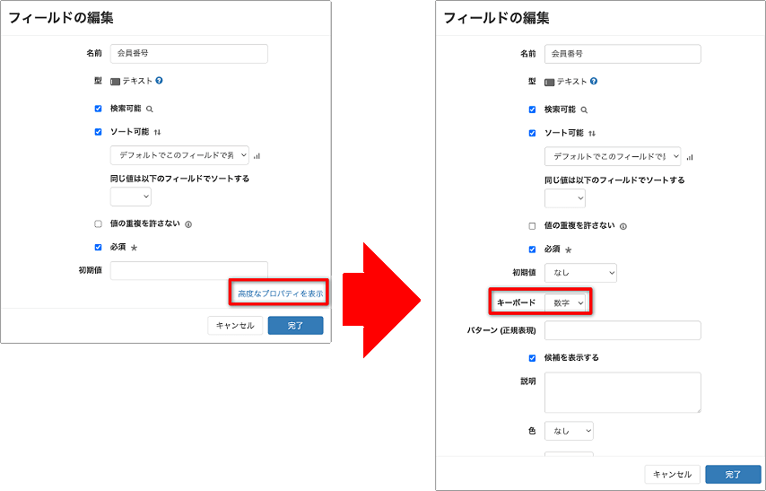 フィールドの編集>高度なプロパティを表示