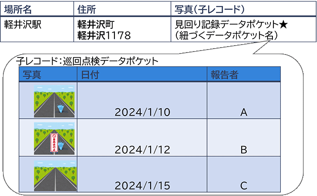 子レコード:巡回点検データポケット