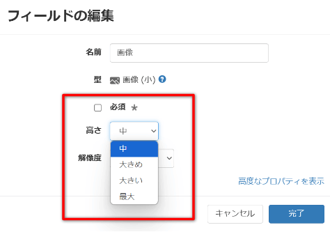 フィールドの編集:解像度